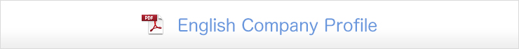 English Company Profile